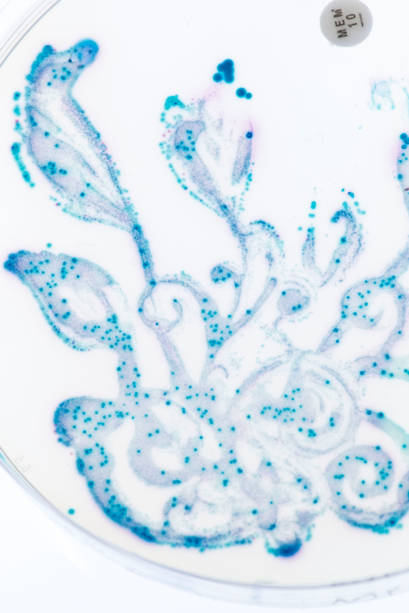 Illustration for article titled This Is the Most Beautiful View of Poop You're Ever Going to See